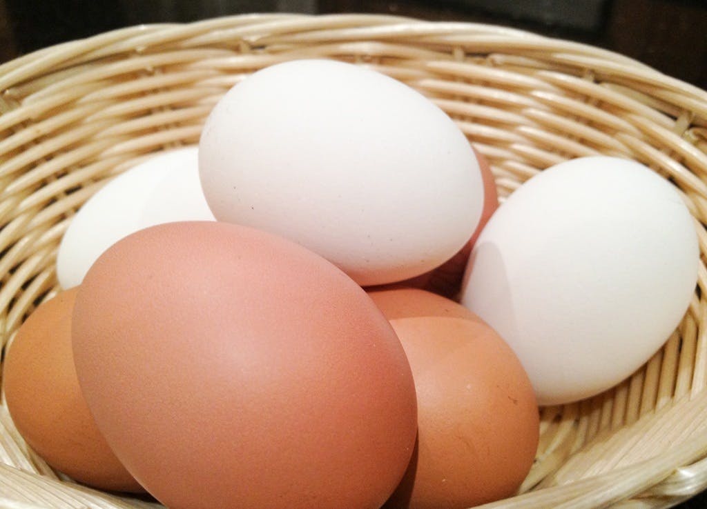 Egg.
